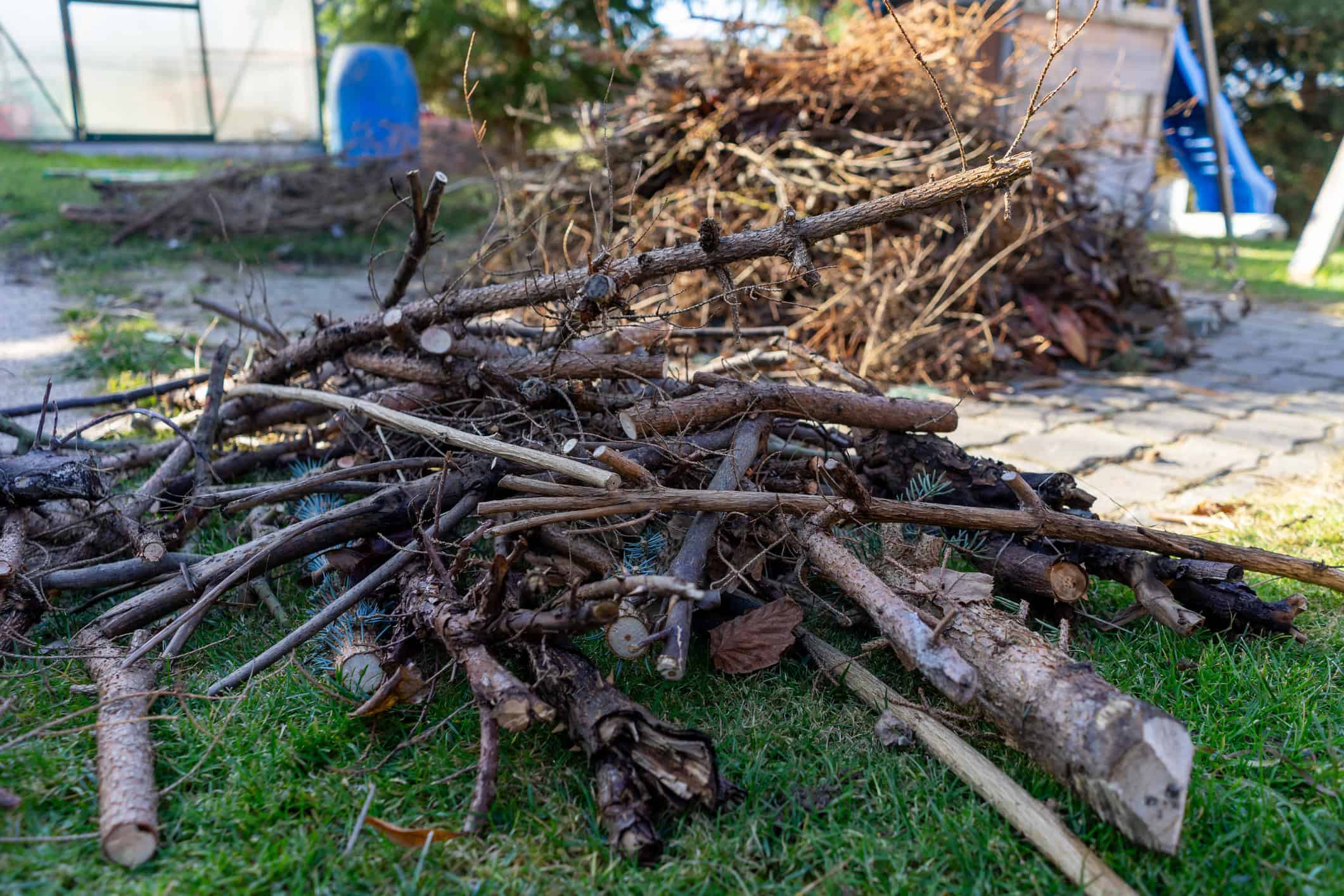 Green garden waste neatly cleared into a JWS skip in a tidy Manchester garden